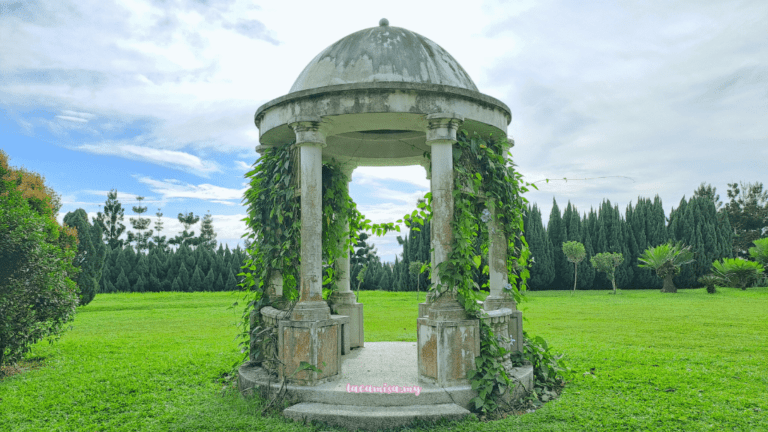 Blossoming Beauty Of Taman Saujana Hijau A Photographer S Paradise