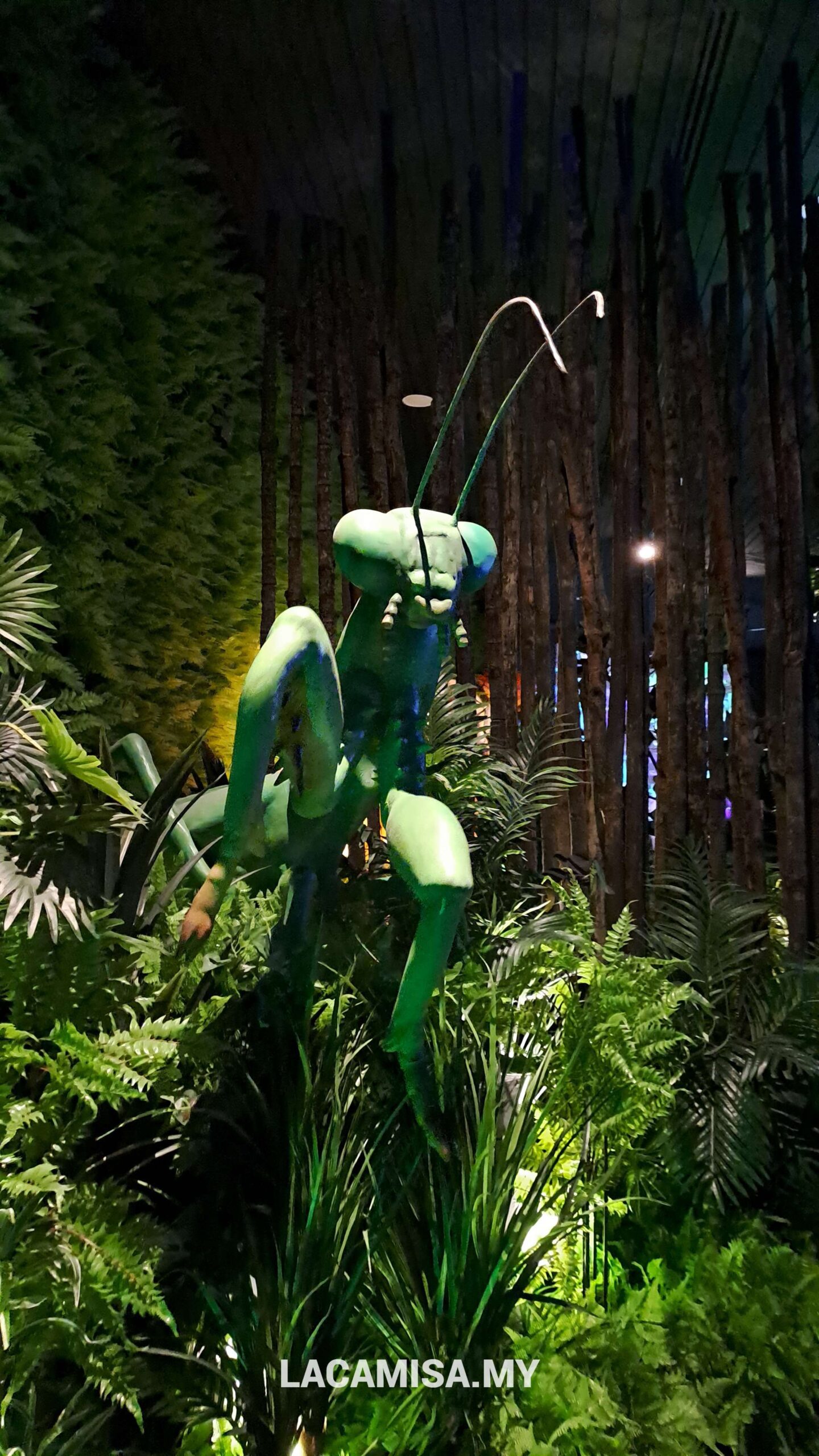 13 Best Things in Wetland Studios Putrajaya: Kids Paradise of Nature ...