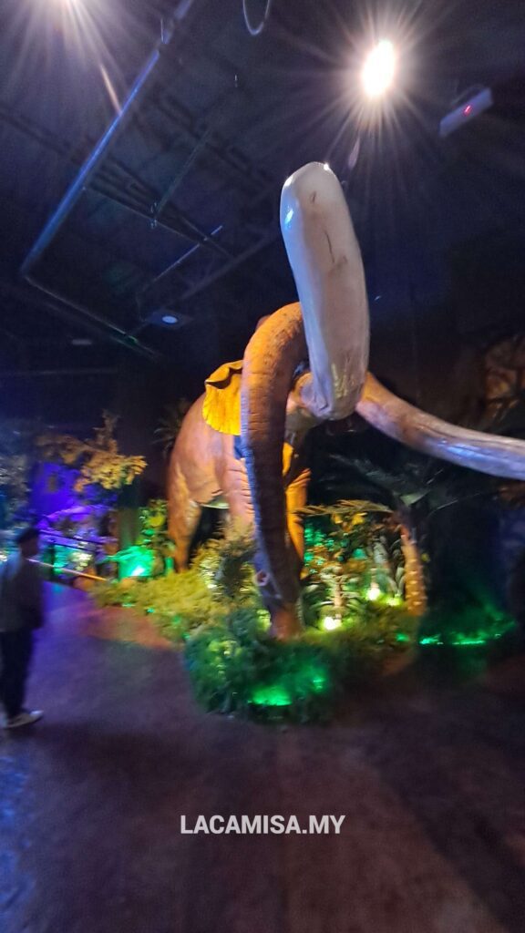 Giant ivory tusks of Stegodon in Wetland Studios Putrajaya