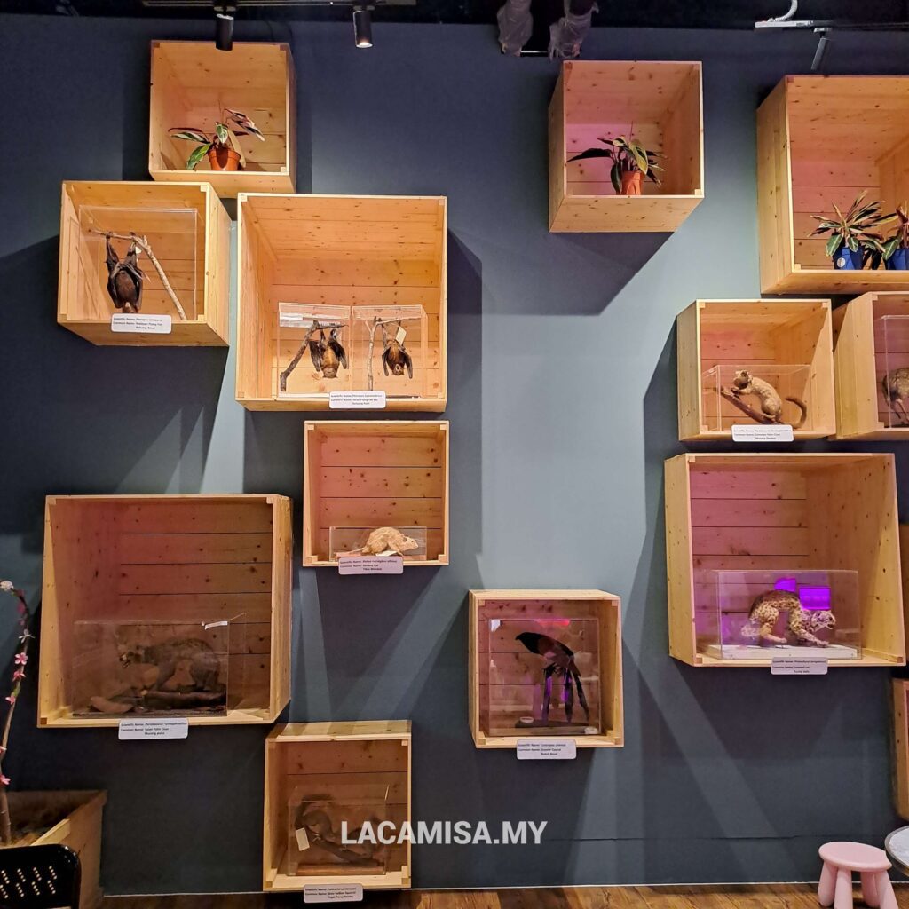 
Displays of preserved animals in IOI City Farm Putrajaya