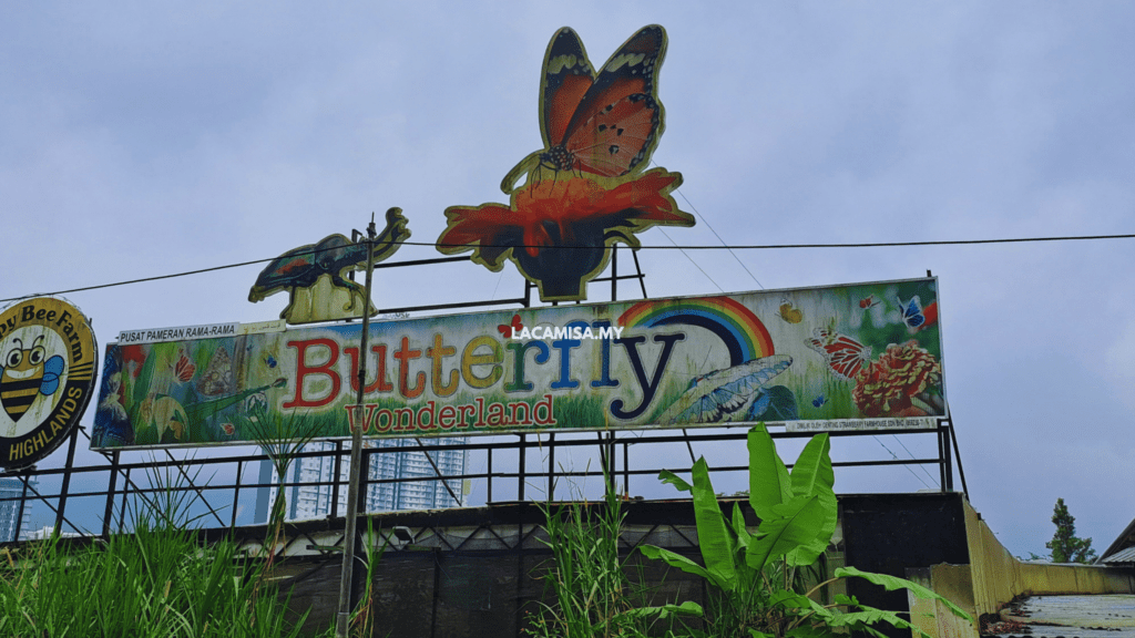 Butterfly Wonderland is one of the top attractions in Genting Highlands that must be visited by families, friends or lovers