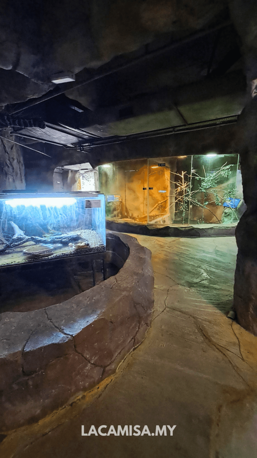 5 Best Things To Do In Entopia By Penang Butterfly Farm