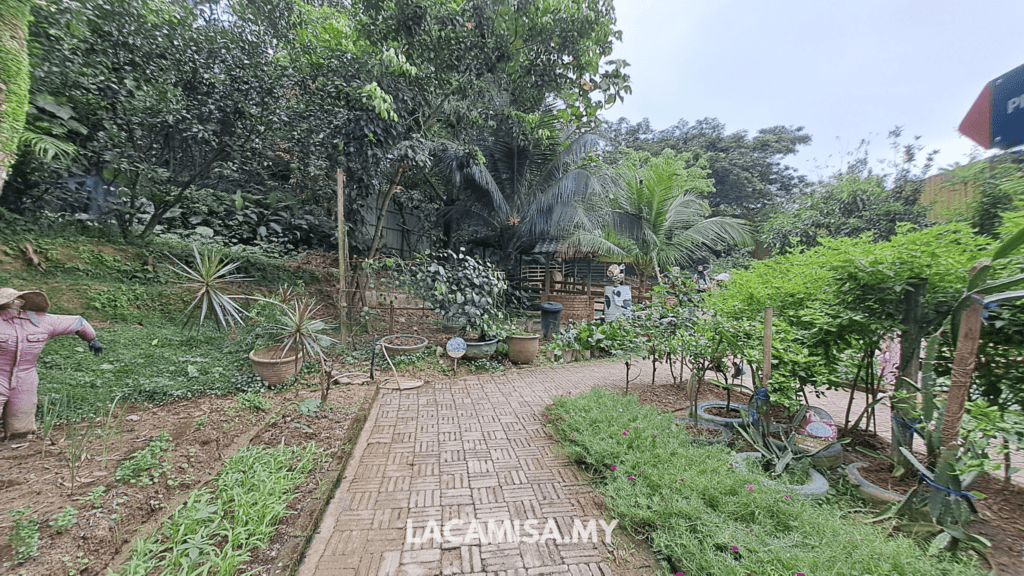The lush greenery in Farm in the City