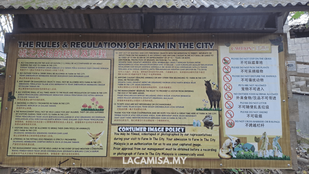 Be mindful of the rules and regulations of Farm in the City