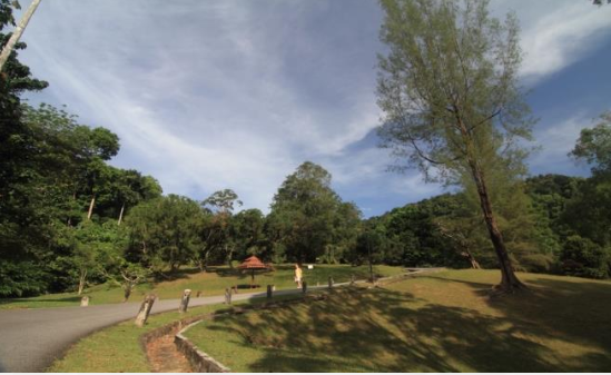 Penang Botanic Gardens. Photo credited to https://mypenang.gov.my/nature-adventure/my-stories/77/?lg=en