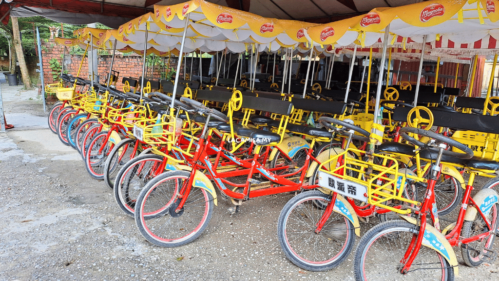 Qing-Xin-Ling-Leisure-free-bicycle