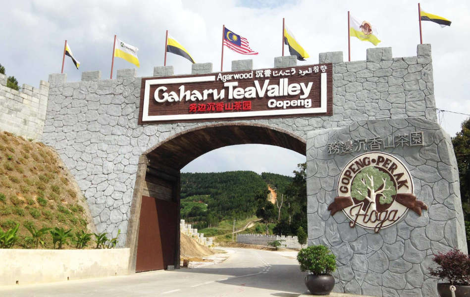 The Great Wall of Gopeng is one of the attractions in Gaharu Tea Valley. Source : https://hoga.my/what-to-explore/#greatwall 