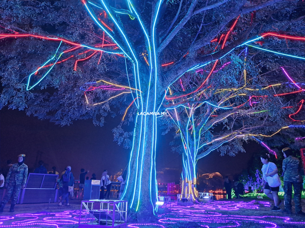 These illuminated trees will change colors. Beware not to step your foot on the lightings as it may cause danger