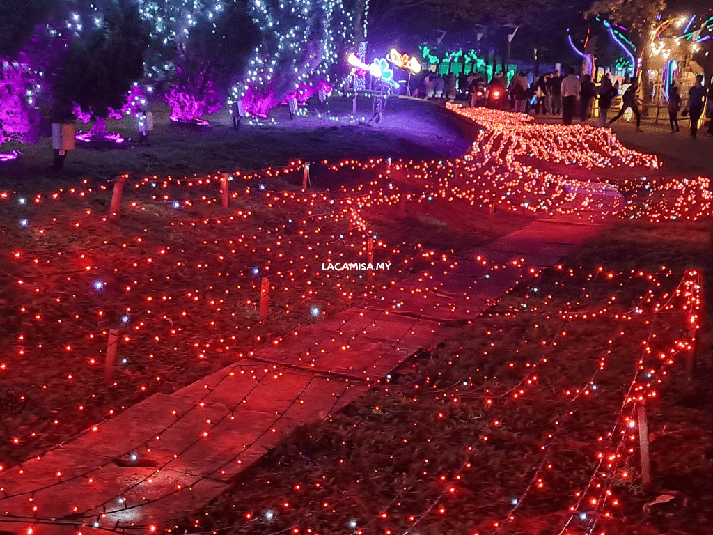 Red-lighted grasses can also be found here during the light festival putrajaya