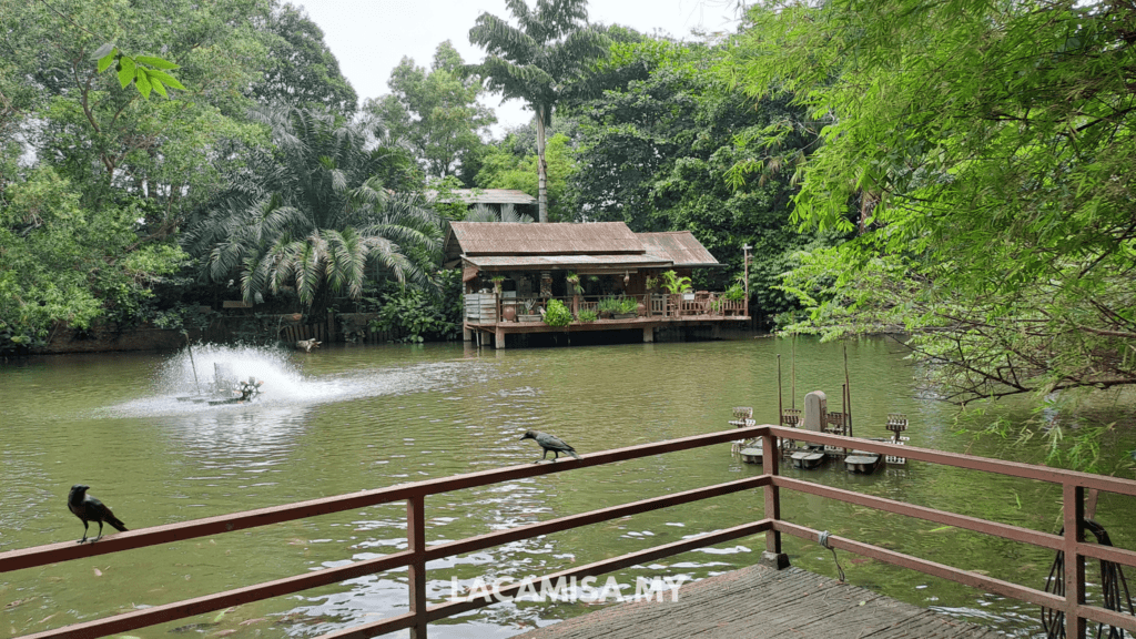 Mood's Lake in Farm in the City Selangor