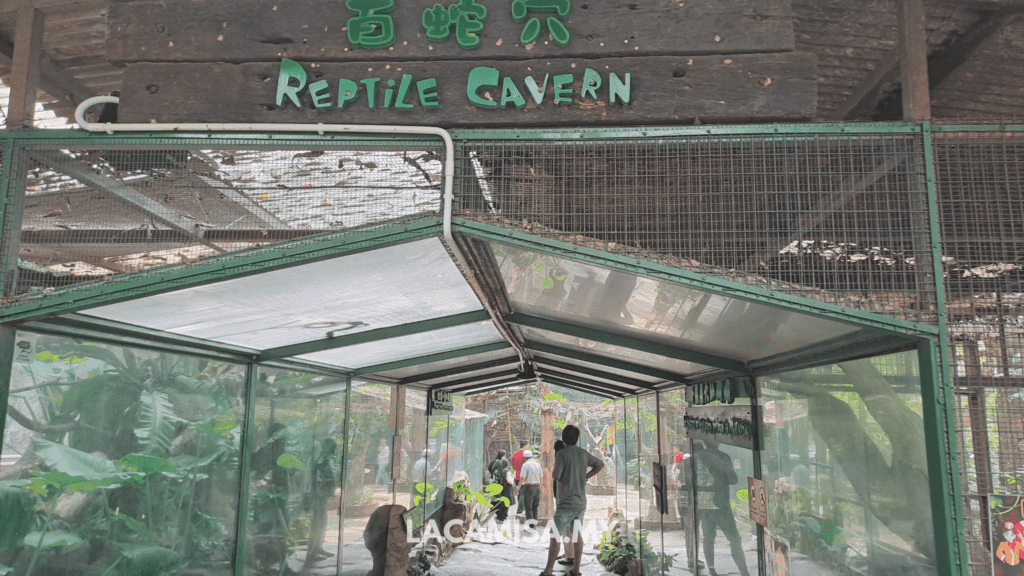 The Reptile Cavern
