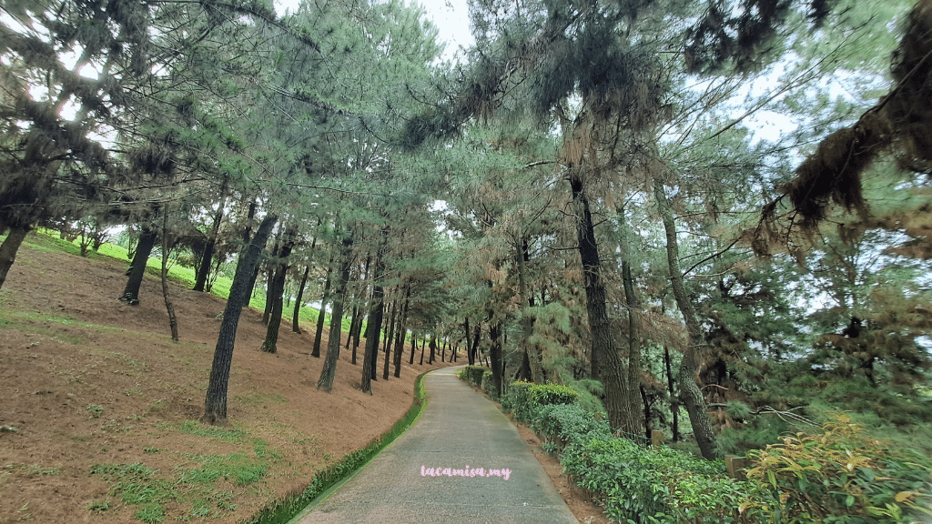 While strolling around in Taman Saujana Hijau, you will come across many picturesque areas, perfect for taking beautiful photos