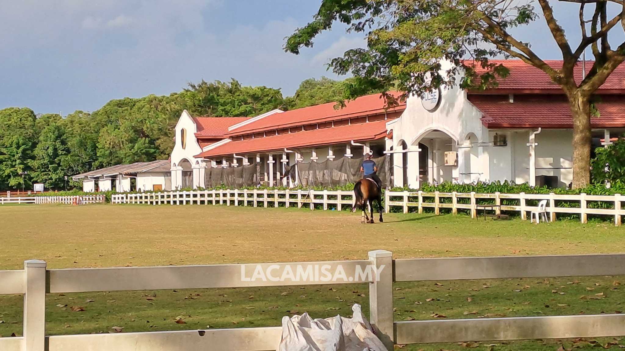 Horseriding activities during daytime