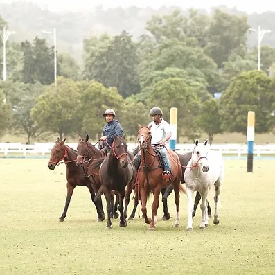 Unique Dining Experience Amidst Equestrian Splendor in Ekues Cabin Cafe Putrajaya. (Photo credited to Ekues Cabin Cafe Putrajaya Official Website)