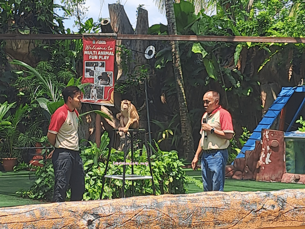 A'Famosa Safari Wonderland - Animal Fantasy Show (Monkey)