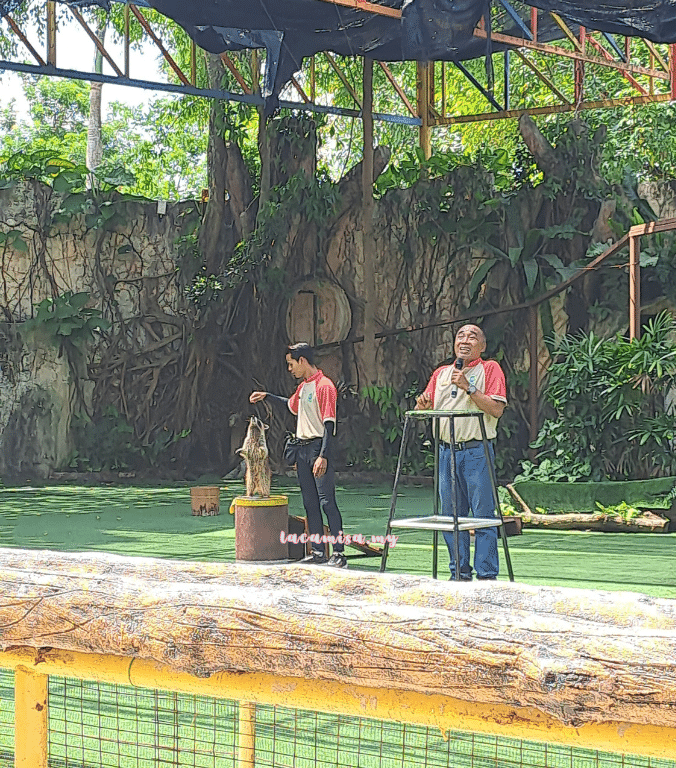 AFamosa-Safari-Wonderland-Animal-Fantasy-Show-otter