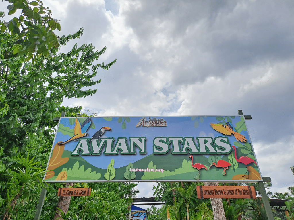 Avian Stars in A'Famosa Safari Wonderland , Malacca