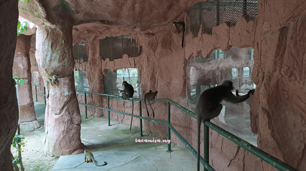 A'Famosa Safari Wonderland Melaka (Monkey Island Cruise_the cave)