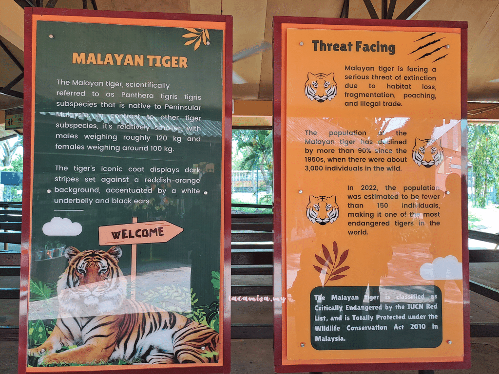 A'Famosa Safari Wonderland Melaka (Safari Truck_Malayan Tiger info)