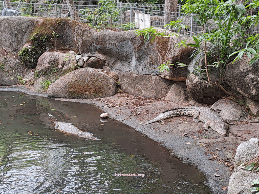 A'Famosa Safari Wonderland Melaka (Safari Truck_crocodile)