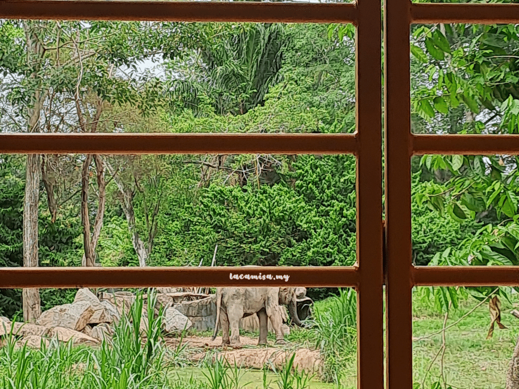 A'Famosa Safari Wonderland Melaka (Safari Truck_elephants)