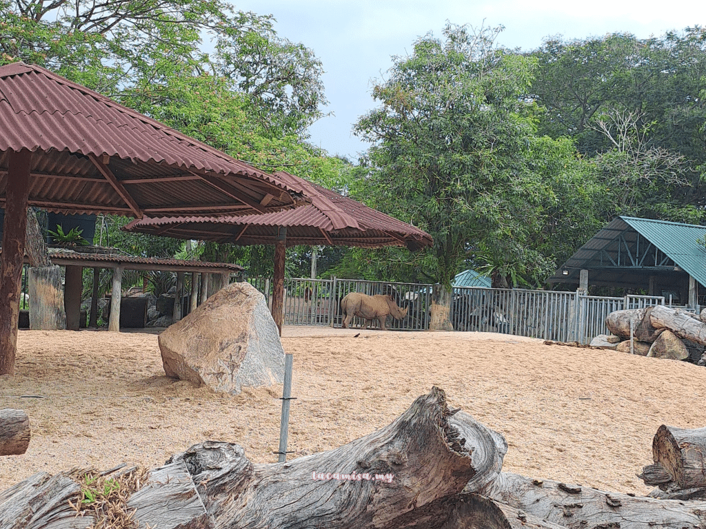 A'Famosa Safari Wonderland Melaka (Safari Truck_rhinocerous)