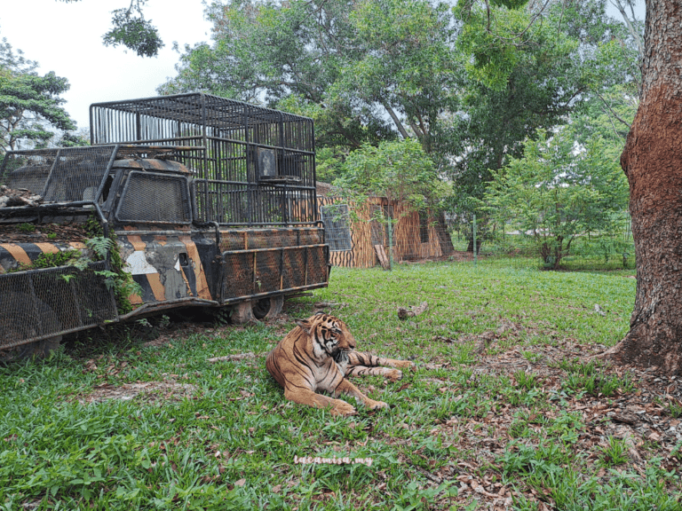 10 Best Things To Do in A'Famosa Safari Wonderland, Malacca