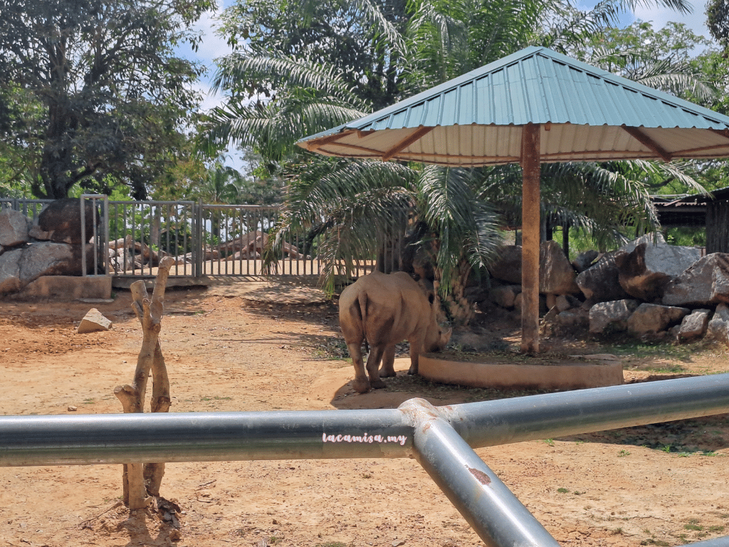 A'Famosa Safari Wonderland Melaka (Southern White Rhinocerous)