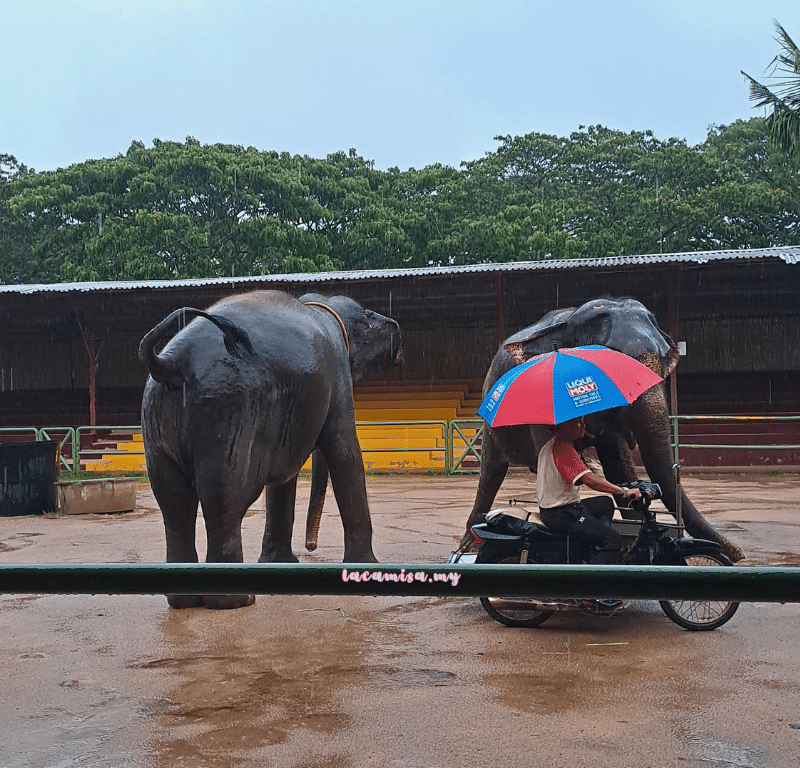 A'Famosa Safari Wonderland Melaka (elephant_with_trainer)