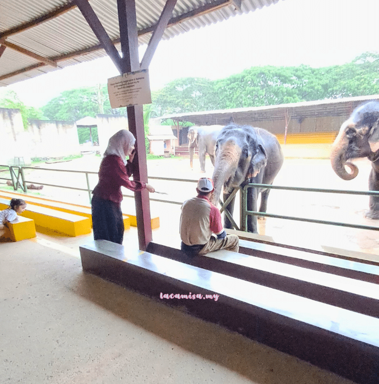 A'Famosa Safari Wonderland Melaka (feeding sessions)