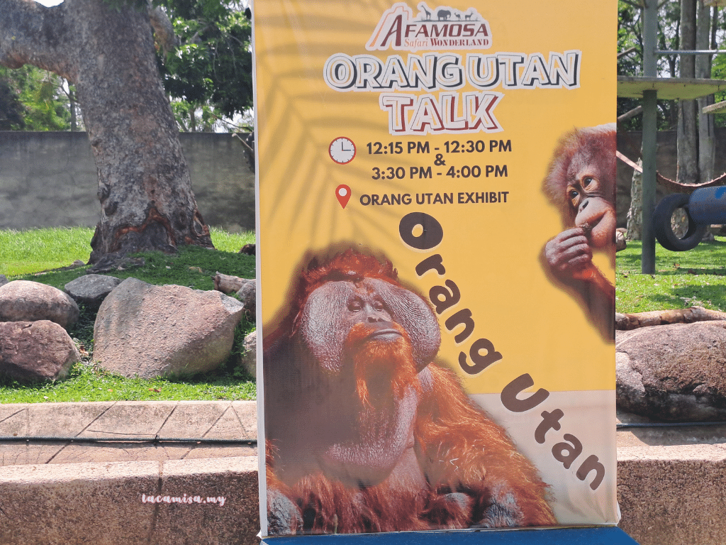 A'Famosa Safari Wonderland Melaka orang utans show time)