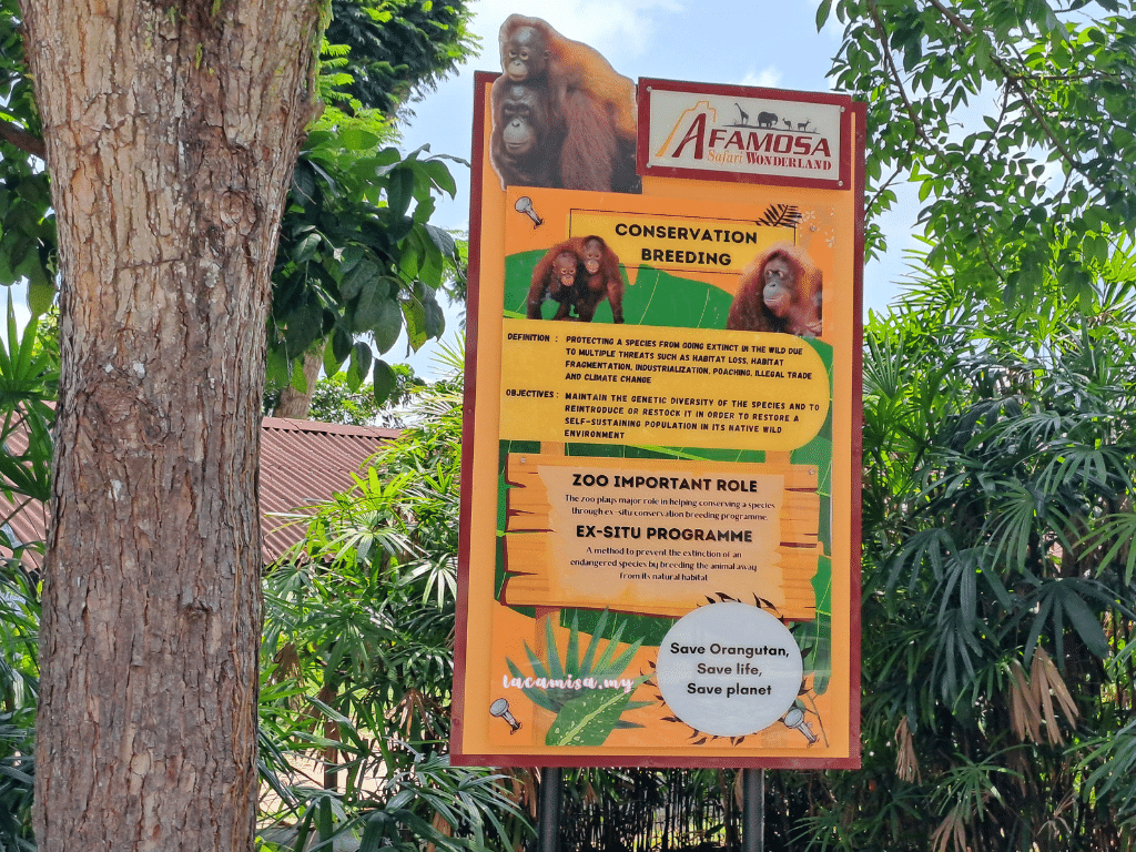 A'Famosa Safari Wonderland Melaka (orang utans_info)