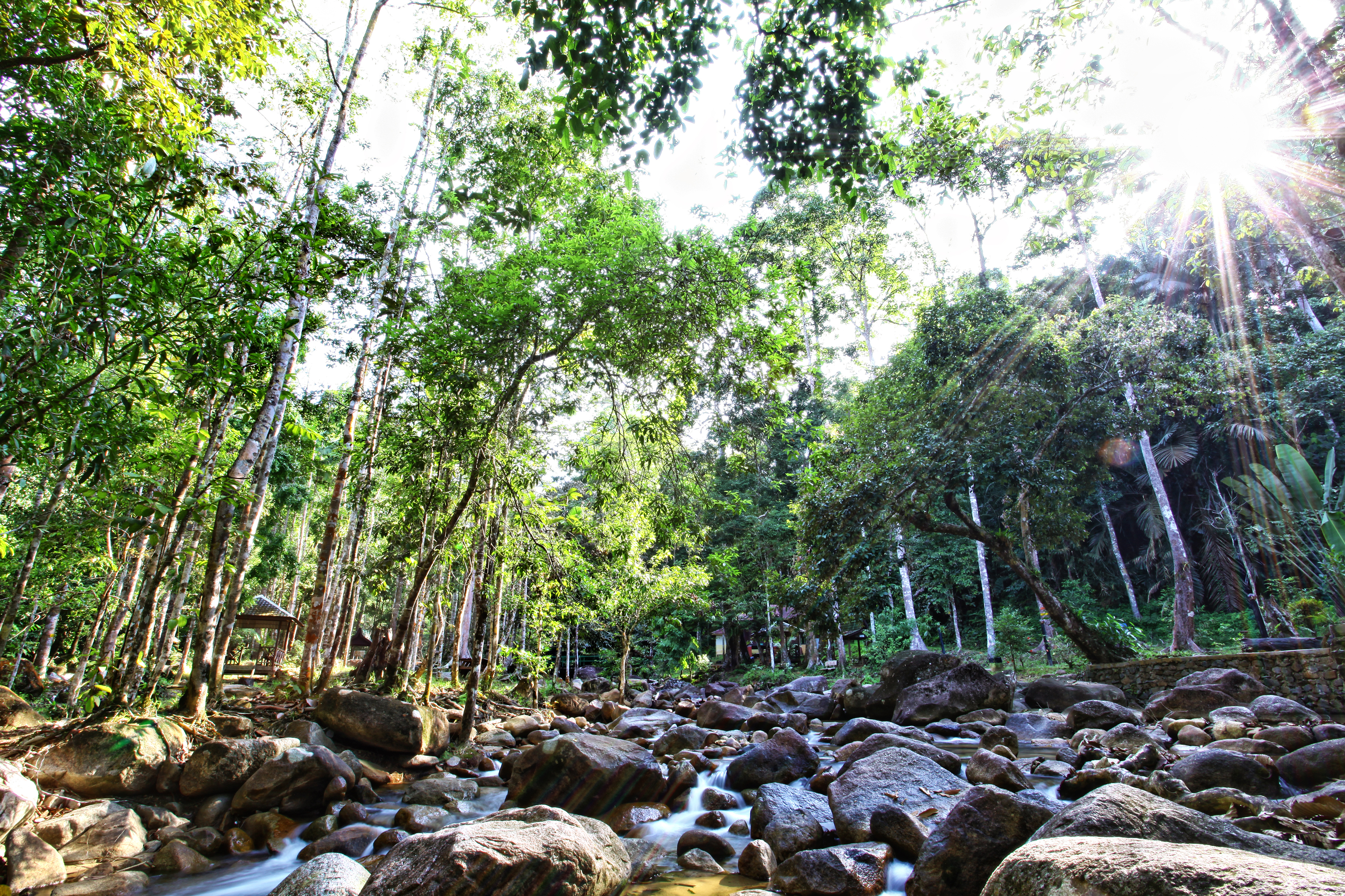 Recreational Forest Sungai Bantang. (Photo credited to forestry.gov.my)
