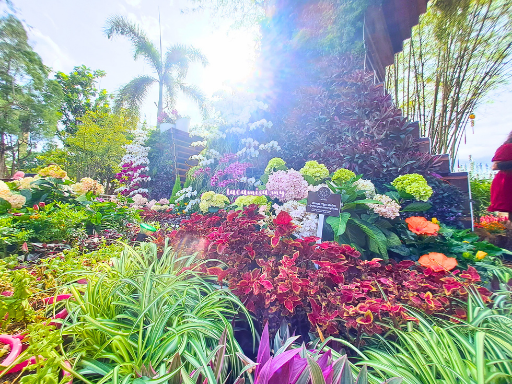 The entrance to DBKL garden showcase during the Putrajaya Royal Floria 2024. 