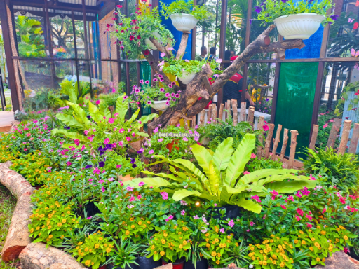 The beautiful garden outside the flutterrarium during the utrajaya Royal Floria 2024 Festival.