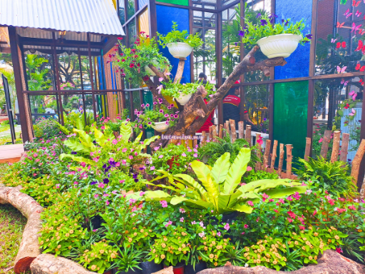 The garden at Flutterrarium Petunia offers mesmerizing views, filled with a vibrant array of colorful flowers that captivate the senses.