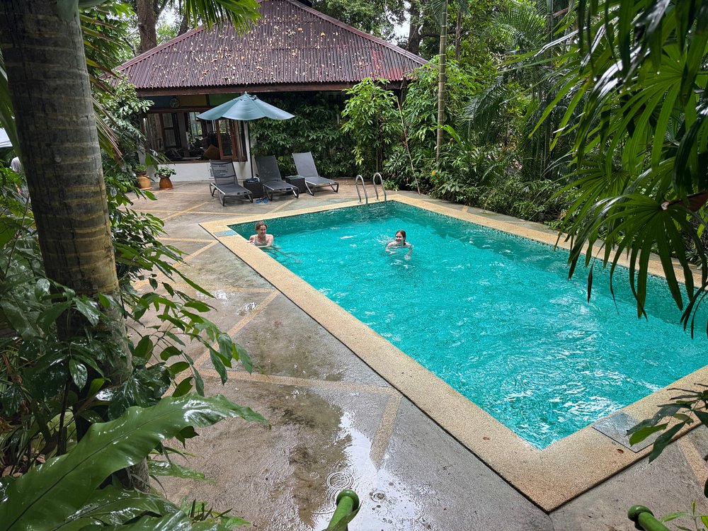 Solo travelers can relax in a private pool amid the lush rainforest at Ambong Ambong Rainforest Retreat.