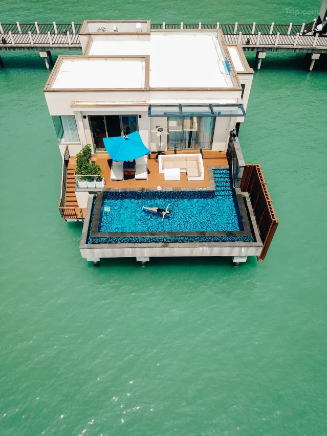 St. Regis Langkawi plunge pool (Trip.com)