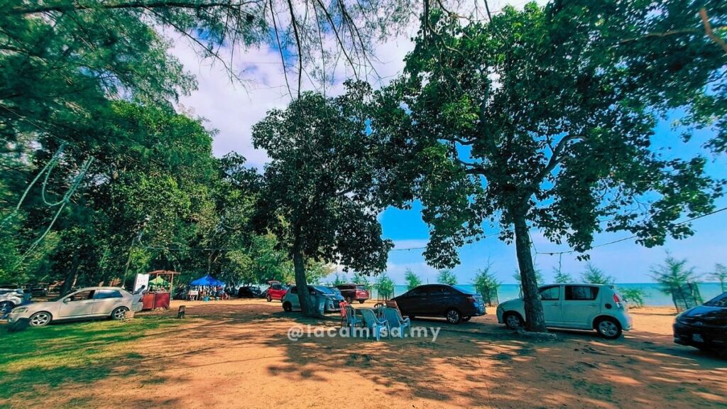 Cars parking under the shaded casuarina trees.