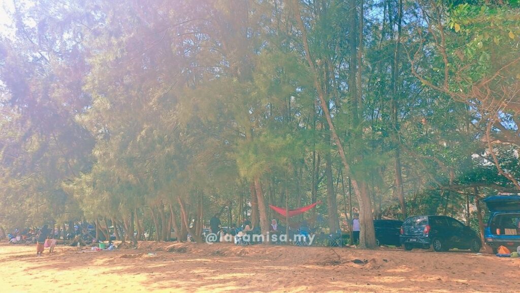 Families having a picnic under shaded casuarina trees at Monkey Bay Beach, Port Dickson.